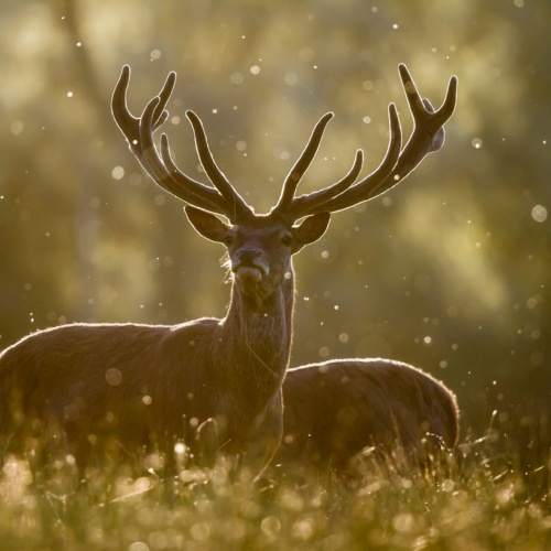 Pourquoi l’automne est la saison idéale pour un séminaire nature ?